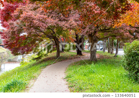 奈良縣龍田公園的秋季步道 133640051