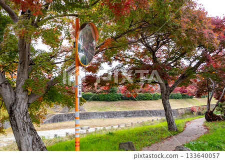 綠樹成蔭的街道和凸面鏡 133640057