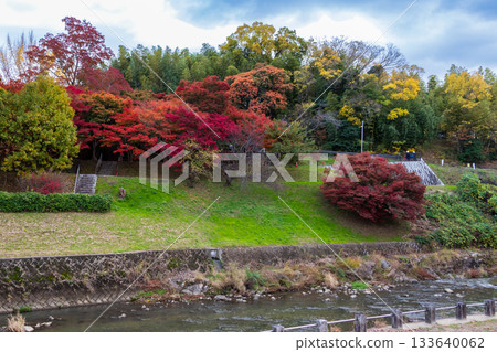 Tatsuta River and Maple Leaves 133640062