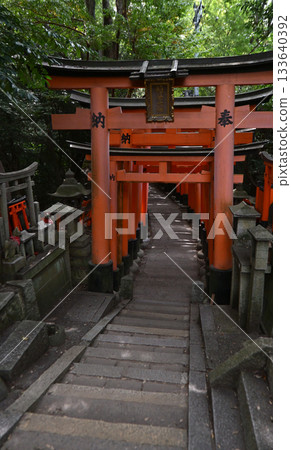 The Thousand Torii Gates of Fushimi Inari Taisha Shrine (Kyoto Prefecture) 133640392