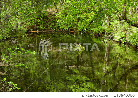 神之湖在綠意盎然的季節 133640396