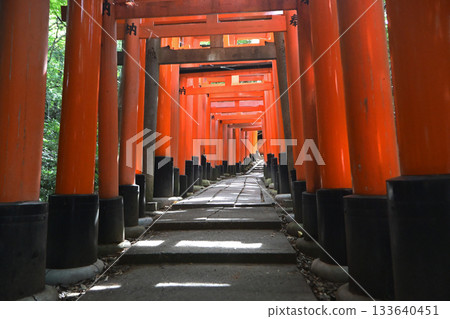 The Thousand Torii Gates of Fushimi Inari Taisha Shrine (Kyoto Prefecture) 133640451
