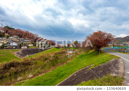 奈良縣的龍田川秋景 133640689