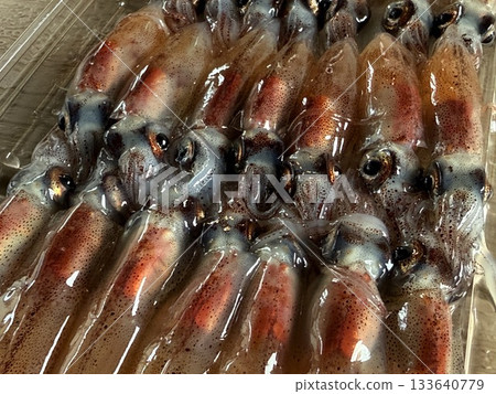 富山縣滑川市的螢火魷魚夜釣景象非常有名，成群的藍色燈光組成的壯觀景像已被指定為特別天然紀念物。 133640779