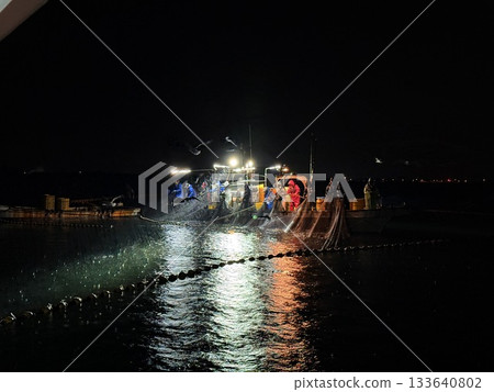 The night view of the firefly squid fishing in Namekawa City, Toyama Prefecture, is famous, and the spectacle of swarms of blue lights has been designated a special natural monument. 133640802