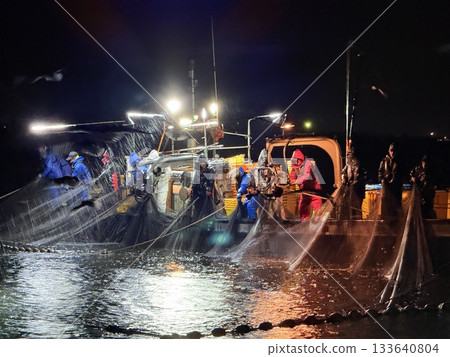 The night view of the firefly squid fishing in Namekawa City, Toyama Prefecture, is famous, and the spectacle of swarms of blue lights has been designated a special natural monument. 133640804