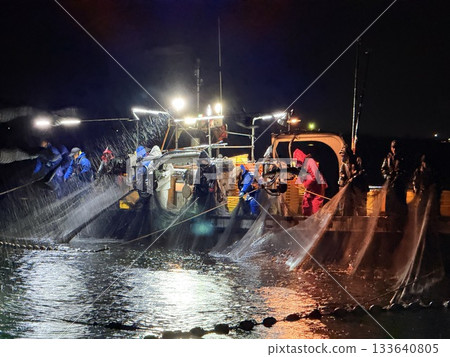 The night view of the firefly squid fishing in Namekawa City, Toyama Prefecture, is famous, and the spectacle of swarms of blue lights has been designated a special natural monument. The night view of the firefly squid fishing in Namekawa City, Toyama Prefecture, is famous, and the spectacle of swarms of blue lights has been designated a special natural monument. 133640805