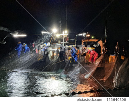 The night view of the firefly squid fishing in Namekawa City, Toyama Prefecture, is famous, and the spectacle of swarms of blue lights has been designated a special natural monument. The night view of the firefly squid fishing in Namekawa City, Toyama Prefecture, is famous, and the spectacle of swarms of blue lights has been designated a special natural monument. 133640806