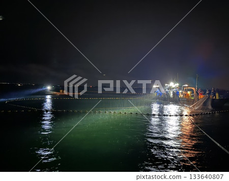 The night view of the firefly squid fishing in Namekawa City, Toyama Prefecture, is famous, and the spectacle of swarms of blue lights has been designated a special natural monument. 133640807