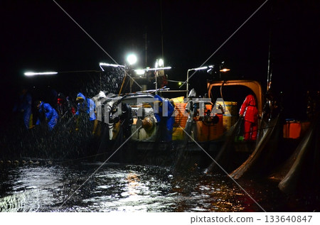 The night view of the firefly squid fishing in Namekawa City, Toyama Prefecture, is famous, and the spectacle of swarms of blue lights has been designated a special natural monument. The night view of the firefly squid fishing in Namekawa City, Toyama Prefecture, is famous, and the spectacle of swarms of blue lights has been designated a special natural monument. 133640847