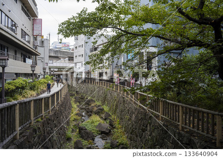 Scenery of Otonashi Water Park in Kita Ward, Tokyo, in front of the north exit of JR Oji Station 133640904