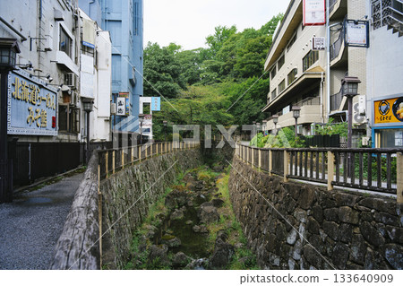 Scenery of Otonashi Water Park in Kita Ward, Tokyo, in front of the north exit of JR Oji Station 133640909