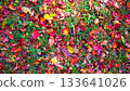 美麗的秋葉背景素材 133641026