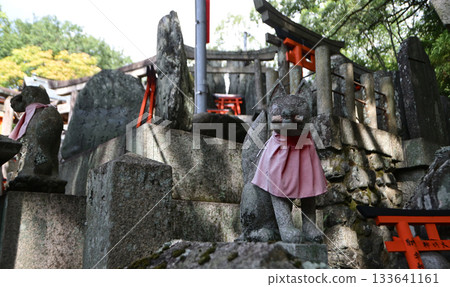 Dear Mr. Inari of Fushimi-Inari Taisha 133641161