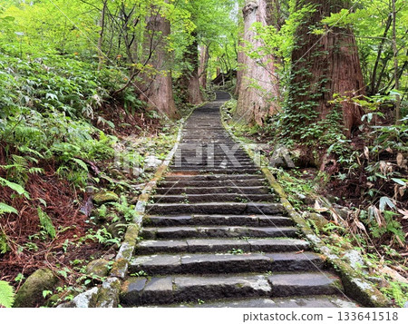 被杉樹環繞的羽狀黑山石階 被杉樹環繞的羽狀黑山石階 133641518