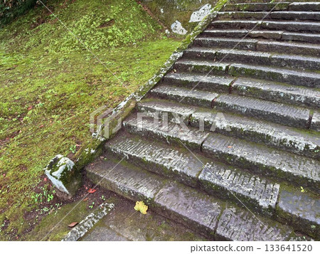被杉樹環繞的羽狀黑山石階 133641520