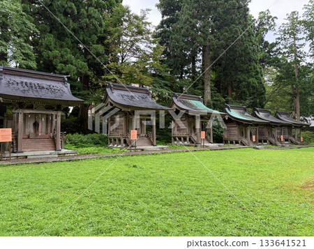 被杉樹環繞的羽狀黑山石階 133641521