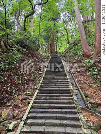 被杉樹環繞的羽狀黑山石階 被杉樹環繞的羽狀黑山石階 133641531
