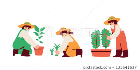 人們喜歡園藝:盆栽植物、換盆、種植 人們喜歡園藝:盆栽植物、換盆、種植 133641637