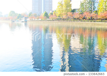 大川河畔公園的秋景，大川是淀川的支流。 133642663