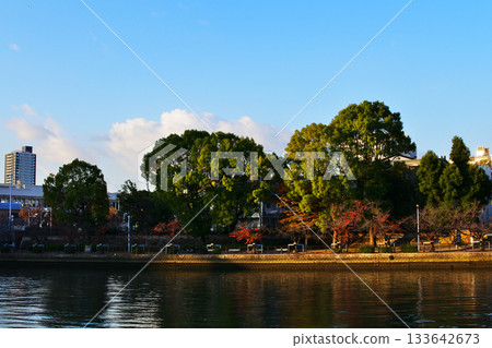 大川河畔公園的秋景,大川是淀川的支流。 大川河畔公園的秋景,大川是淀川的支流。 133642673