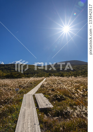 <Fukushima Prefecture> Trail extending from Jododaira Visitor Center <Fukushima Prefecture> Trail extending from Jododaira Visitor Center 133642817