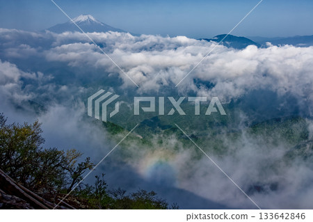 從丹澤的檜木平丸眺望雲層之上的富士山和布羅肯幽靈。 從丹澤的檜木平丸眺望雲層之上的富士山和布羅肯幽靈。 133642846