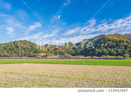 Rural scenery in Maruyamacho, Omihachiman City, Shiga Prefecture 133642947