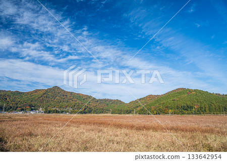 Rural scenery in Maruyamacho, Omihachiman City, Shiga Prefecture 133642954
