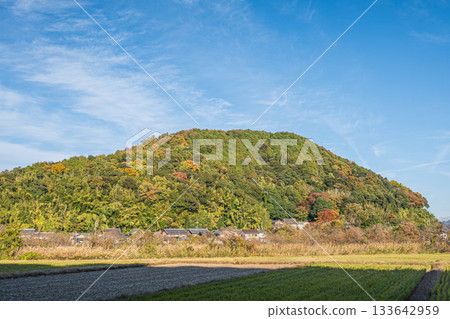 滋賀郡近江八幡市丸山町的鄉村景色 133642959