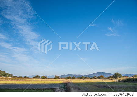 滋賀郡近江八幡市丸山町的鄉村景色 133642962