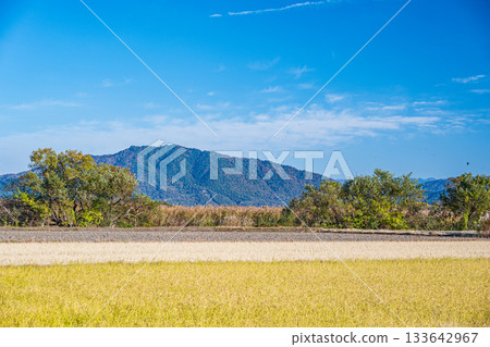 滋賀郡近江八幡市丸山町的鄉村景色 滋賀郡近江八幡市丸山町的鄉村景色 133642967