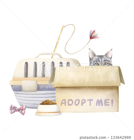 Adopt me concept with funny gray cat in box with toys, carrier and food bowl watercolor isolated illustration. Hand drawn pet clip art for animal veterinary designs, rescue and adoption centers Adopt me concept with funny gray cat in box with toys, carrier and food bowl watercolor isolated illustration. Hand drawn pet clip art for animal veterinary designs, rescue and adoption centers 133642999