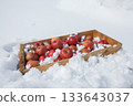 Fresh-tasting apples chilled in a natural snow room 133643037