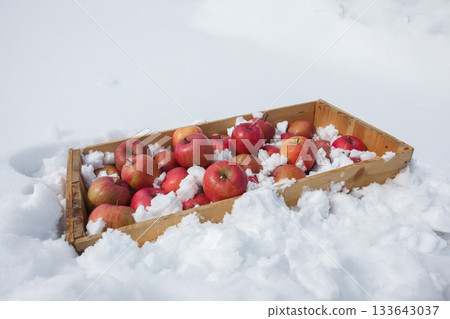 Fresh-tasting apples chilled in a natural snow room Fresh-tasting apples chilled in a natural snow room 133643037