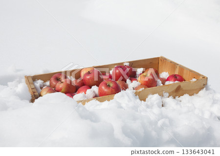 新鮮美味的蘋果在天然雪室中冷藏 133643041