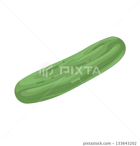 Illustration of cucumber Illustration of cucumber 133643202
