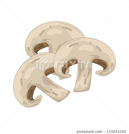 Illustration of mushroom  133643204