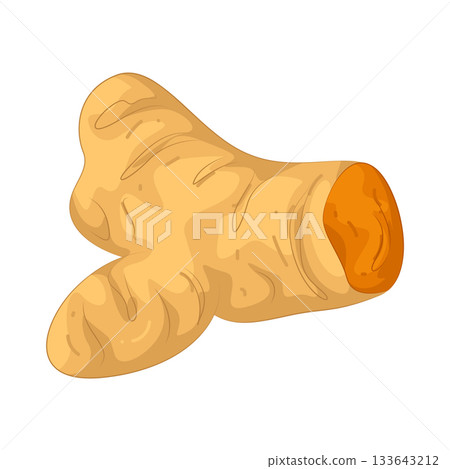 Illustration of turmeric Illustration of turmeric 133643212