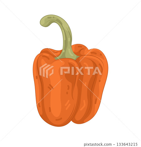 Illustration of bell pepper Illustration of bell pepper 133643215