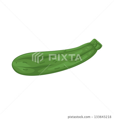 Illustration of zucchini Illustration of zucchini 133643218