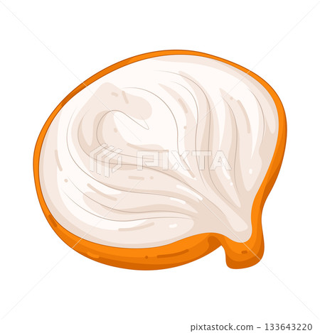 Illustration of onion  133643220