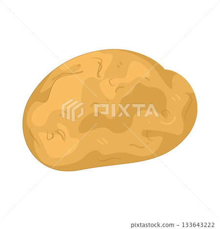 Illustration of potato  133643222