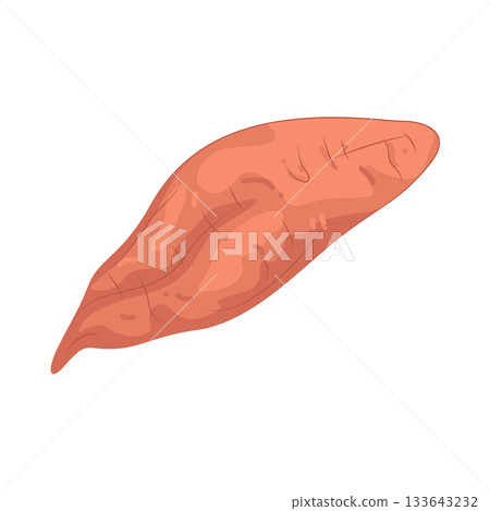 Illustration of sweet potato Illustration of sweet potato 133643232