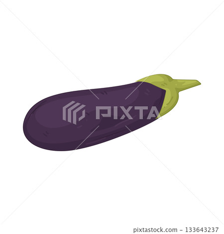 Illustration of eggplant Illustration of eggplant 133643237