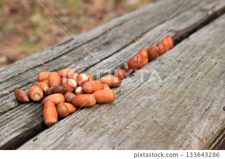 Acorns lined up on a wooden bench Acorns lined up on a wooden bench 133643286