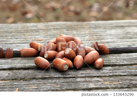 Acorns lined up on a wooden bench Acorns lined up on a wooden bench 133643290