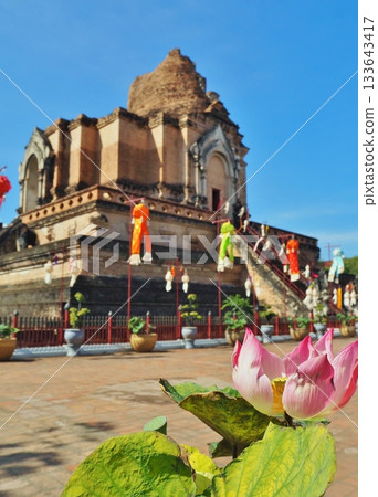 Wat Chedi Luang Wat Chedi Luang 133643417