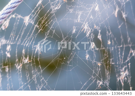 The spider web (cobweb) closeup background. 133643443