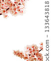 Plum blossom  133643818